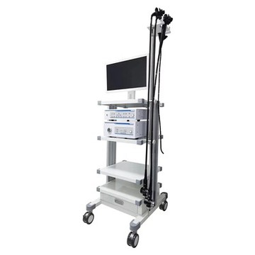 Video medicinsk endoskopsystem